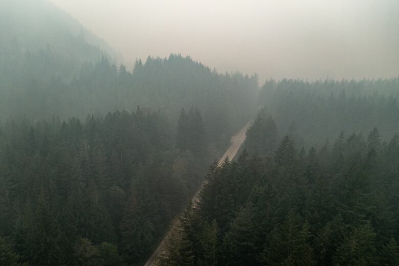 Smoke and haze from wildfires lingering above trees in Chilliwack, B.C. Taken Oct. 18, 2022.