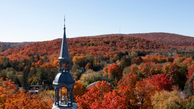 A church spiral and a few roofs can been seen peeking of the community's tree canopy.  