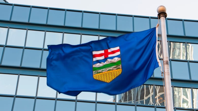 A flag blows in front of a building.