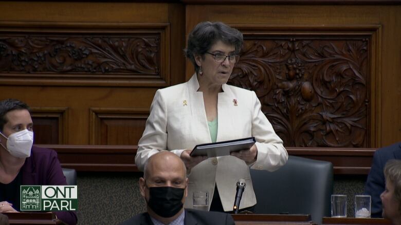 MPP Lise Vaugeois speaks at Queen's Park.