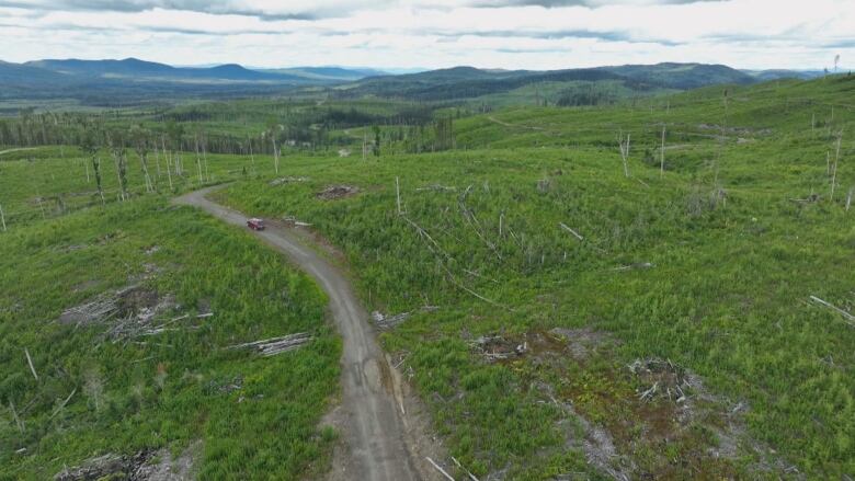 An aerial view of the aftermath of a clearcut taken in the summer.