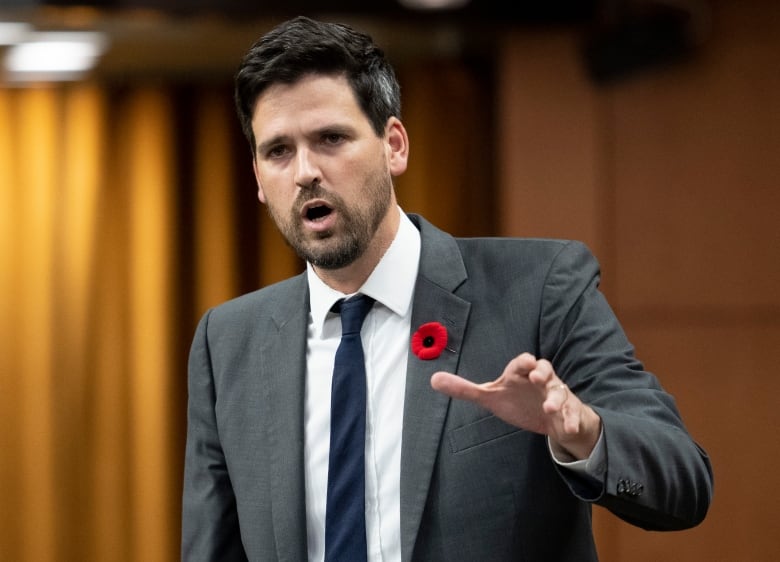 Immigration, Refugees and Citizenship Minister Sean Fraser addressed the issue in a statement released on Wednesday, June 14, 2023. .