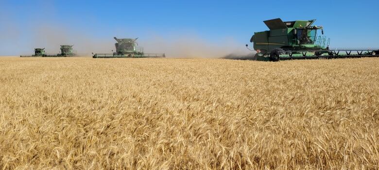 Four green combines run in tandem across a field of crops under a blue sky.