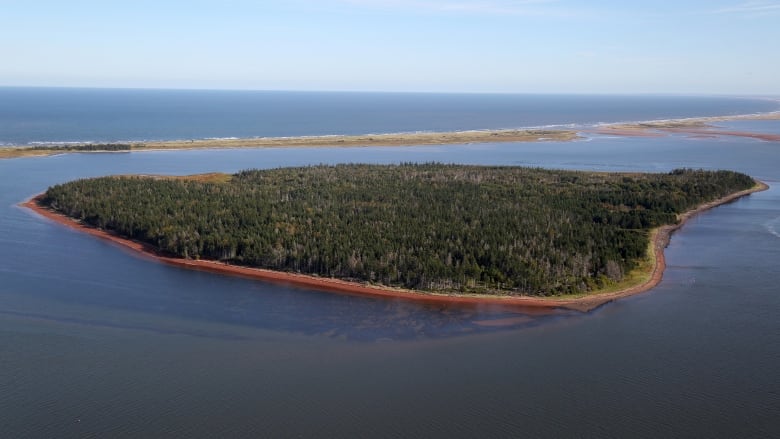 An aerial view of a small island covered in forest and ringed with beach, surrounded by blue water, with a sand dune behind it. 