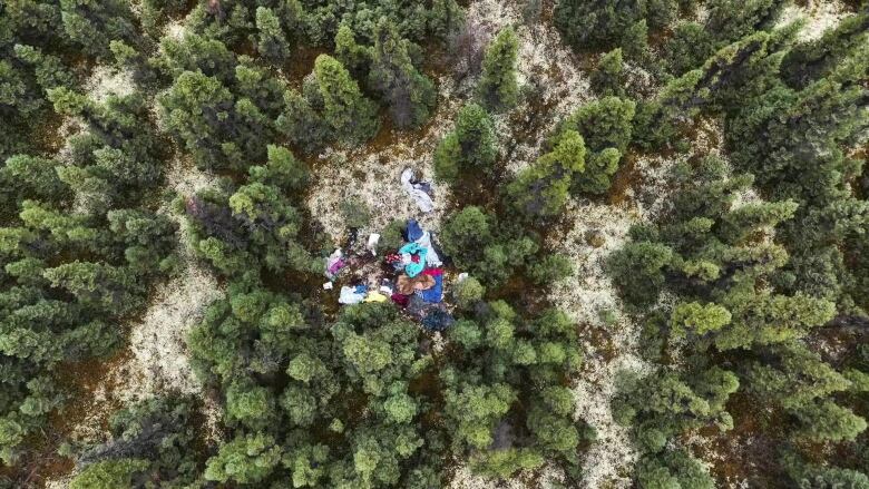 Coloured sleeping bags and blankets are in the middle of green trees. 