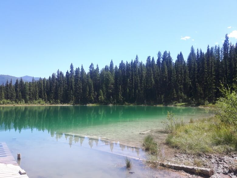 A small green lake surrounded by forest.