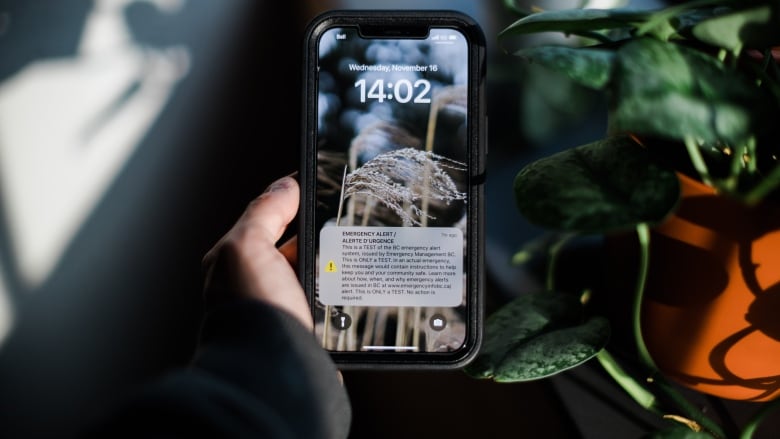 A hand holds a smartphone with an emergency message displayed on the lock screen in front of a houseplant.