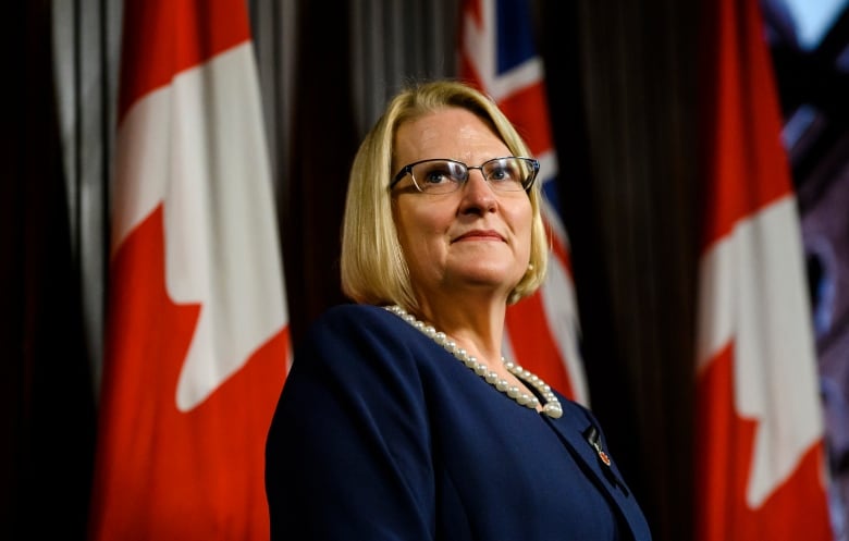 Ontario Health Minister Sylvia Jones speaks with media at Queens Park in Toronto.