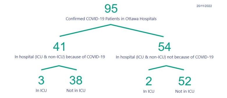 A graphic breaking down Ottawa COVID-19 hospitalizations.