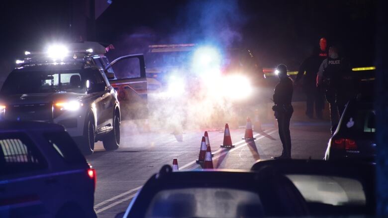 Police officers stand in a darkened roadway in front of an RCMP vehicle with its lights on, illuminating some sort of mist.