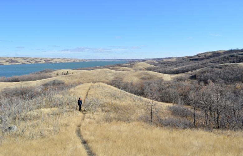 A man walks along a trail at Buffalo Pound Provincial Park in Saskatchewan. 