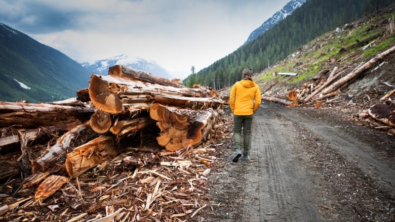 A man in a yellow jacket walks next to a pile of logs.