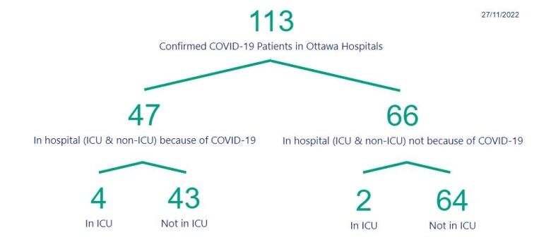 A graphic breaking down Ottawa COVID-19 hospitalizations.