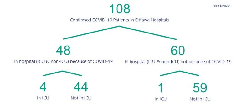 A graphic breaking down Ottawa COVID-19 hospitalizations.