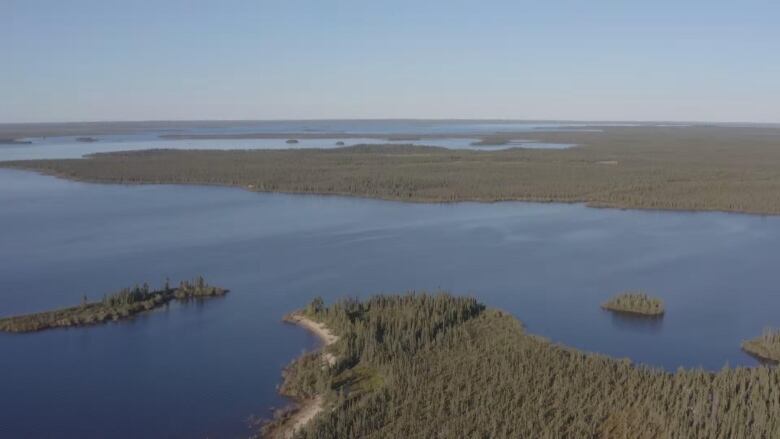 high overhead shot of forest and rivers.