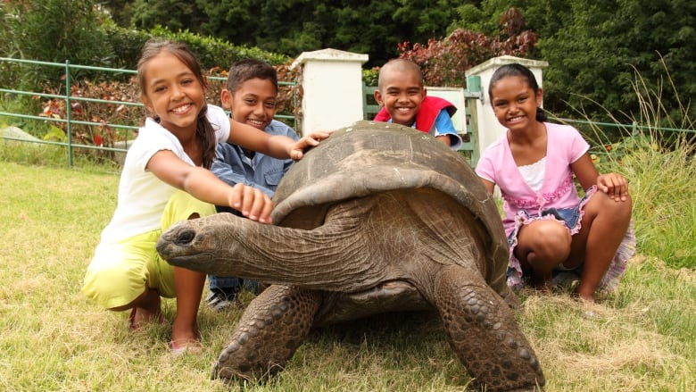 Four children smile and pet a giant tortoise in the grass. 