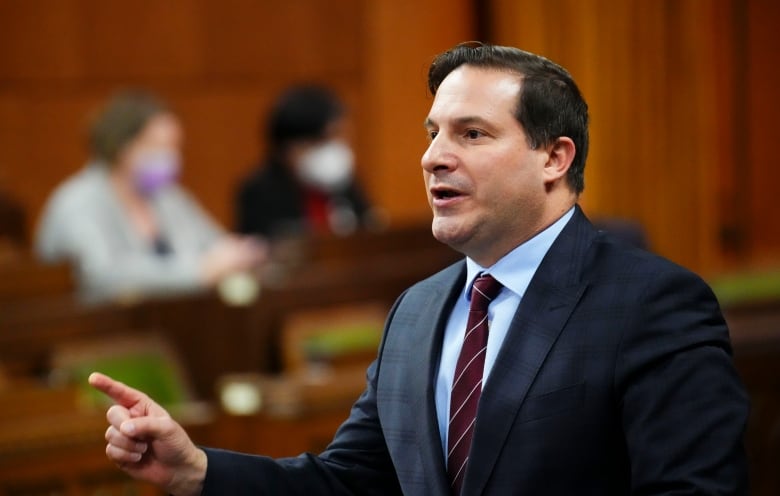 A man in a suit stands in the House of Commons.