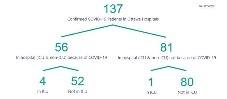  A graphic breaking down Ottawa COVID-19 hospitalizations