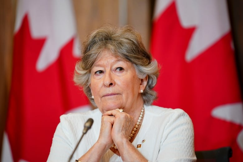 Former Supreme Court justice Louise Arbour attends a press conference.