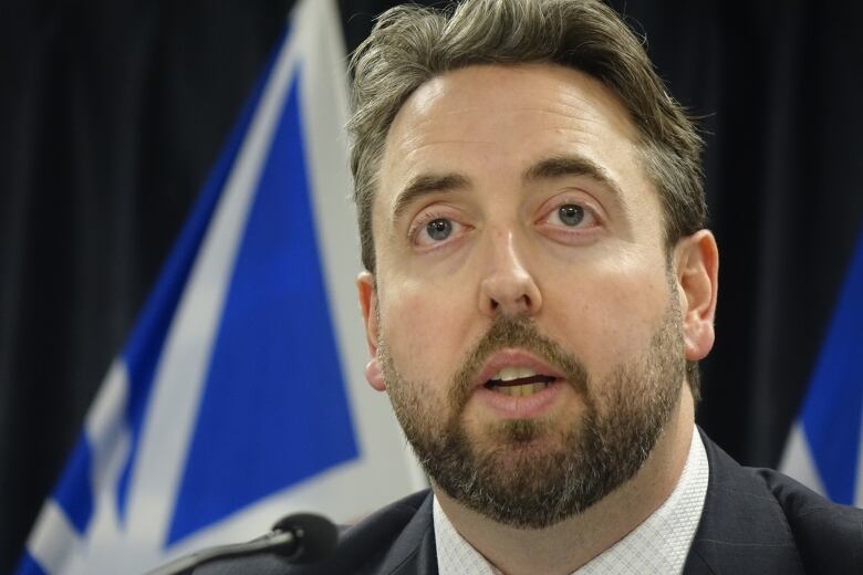 A closeup of a person with a beard wearing a suit, sitting in front of a Newfoundland and Labrador flag, speaking.