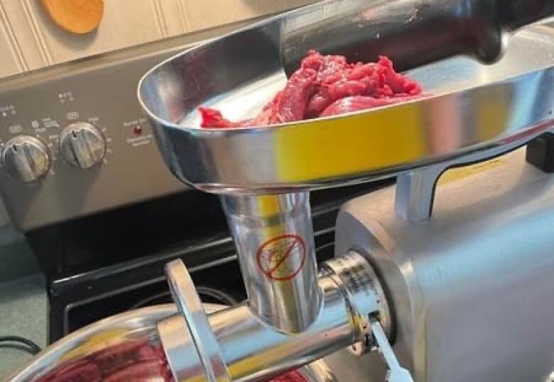 Moose meat is being put through a meat grinder.