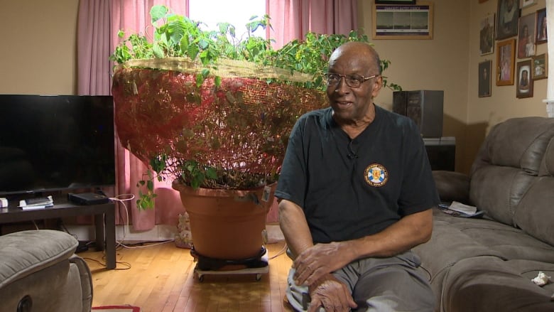 A man is seen sitting in front of a large poinsettia plant in a living room.