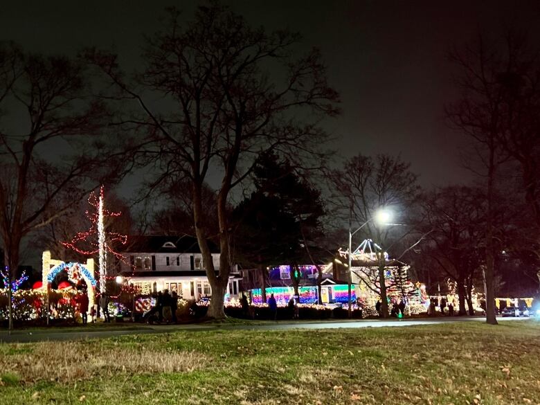 Houses on a street in the background are brightly illuminated with many lights. A grassy area is in the foreground.