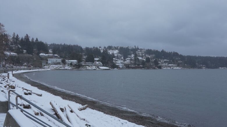 Waves lap onto a beach covered in a thin layer of snow with trees and homes in the background.