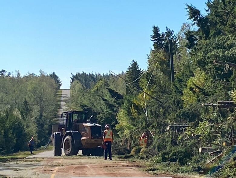 A work crew clears fallen trees from a roadway. 