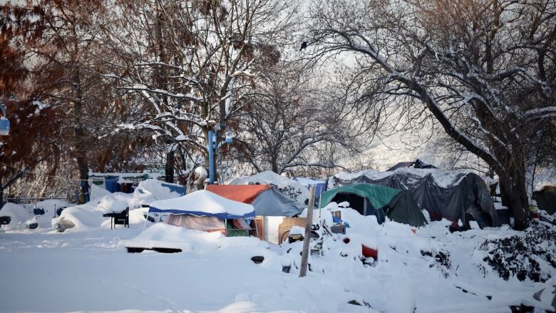 At least a dozen tents and makeshift structures are pictured covered in snow under deciduous trees.