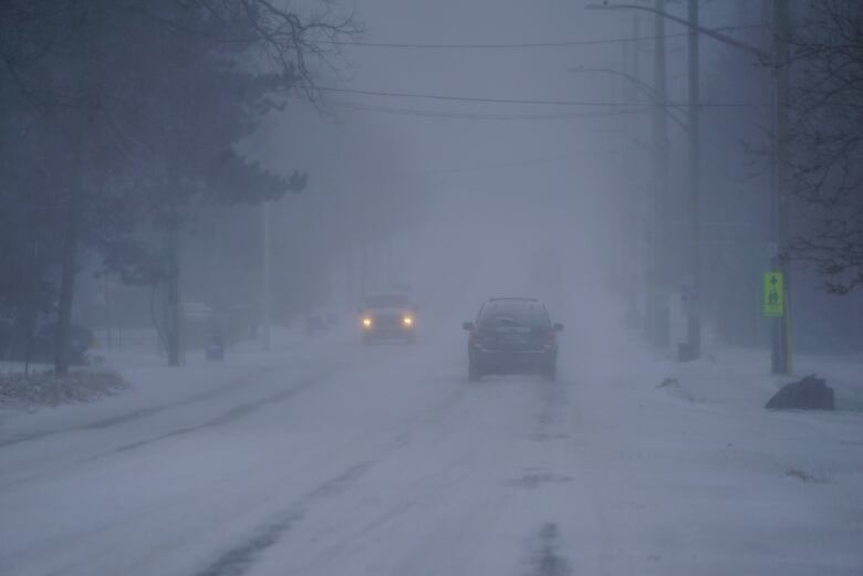 Cars driving in whiteout conditions