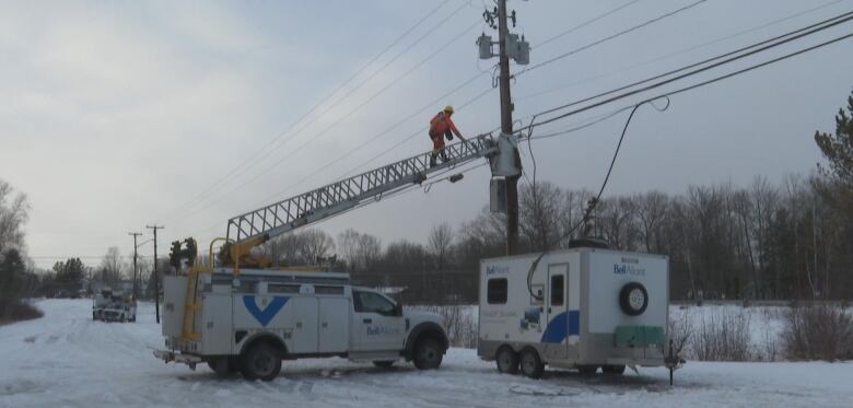 Bell-Aliant has found itself needing to repair lines in Fredericton nearly every night due to thieves cutting and stealing communications cables directly from poles.