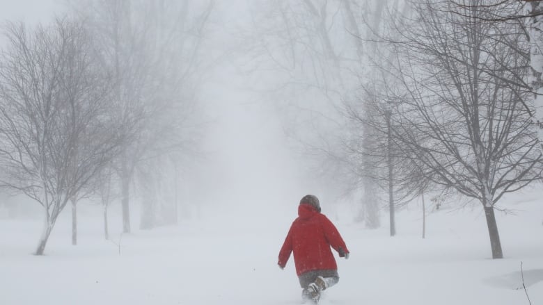 A person in a red jacket walks through several metres of powdery snow.