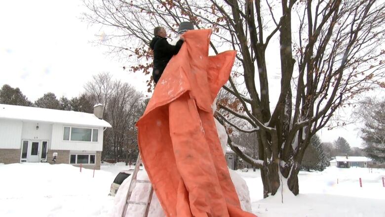 A man on a ladder hangs an orange tarp on a tall snowman.