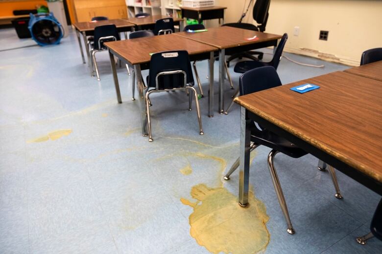 Dark brown stains are visible beneath desks in a classroom.