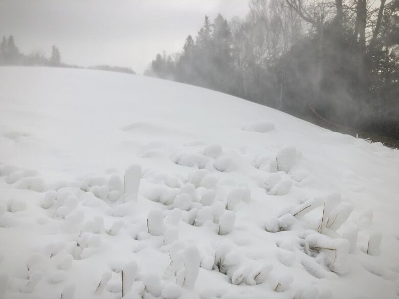 Ski Ben Eoin opened on Jan. 14 last year, so it could be an earlier opening this year, but MacDonald says that all depends on the weather over the next week.