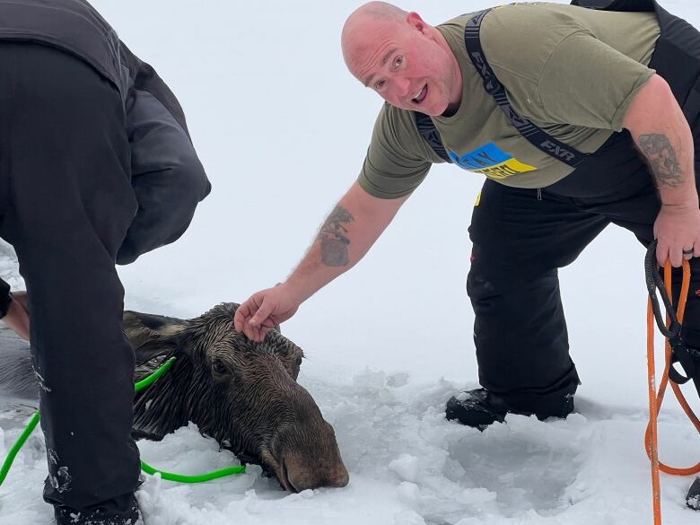 Two men tie a green rope around a moose's neck as she is stuck in a frozen lake.