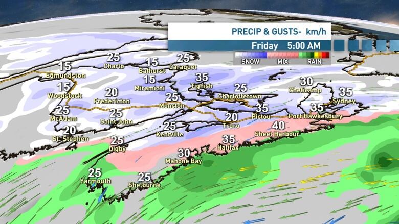 A weather map of the Maritimes shows expected precipitation and wind gusts at 5 a.m. on Friday, Jan. 6, 2023.