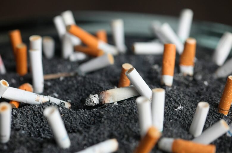 A closeup of cigarette butts in an ashtray.