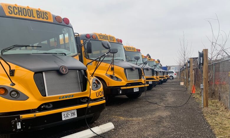 A row of yellow school buses sits in a yard, connected to a power supply because they are electric. 