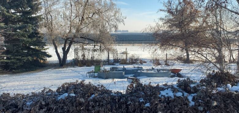 Rows of solar panels can be seen in the distance, with a snow-covered backyard and several trees in the foreground. 