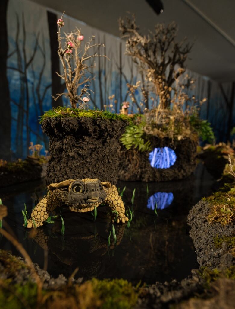 Installation view of Emerald Queendom by Tammy Salzl. The photograph focuses on one diorama involving a sculpted tortoise carrying mossy earth atop its back.