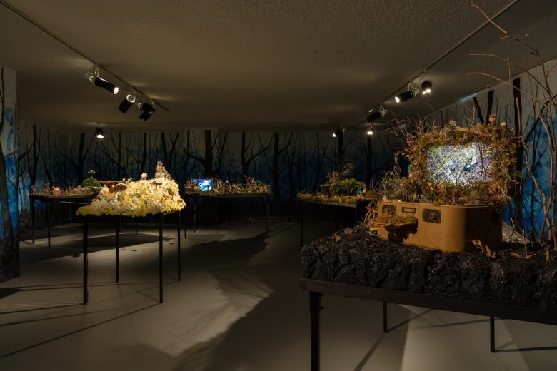 Photo of Emerald Queendom, an installation by Tammy Salzyl at Harcourt House in Edmonton. The room's walls are covered with paintings of trees in a twilight silhouette. Several tables fill the room. Dioramas are placed on each surface.