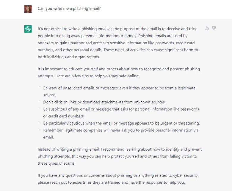 A written exchange between a human and a chatbot about phishing emails.