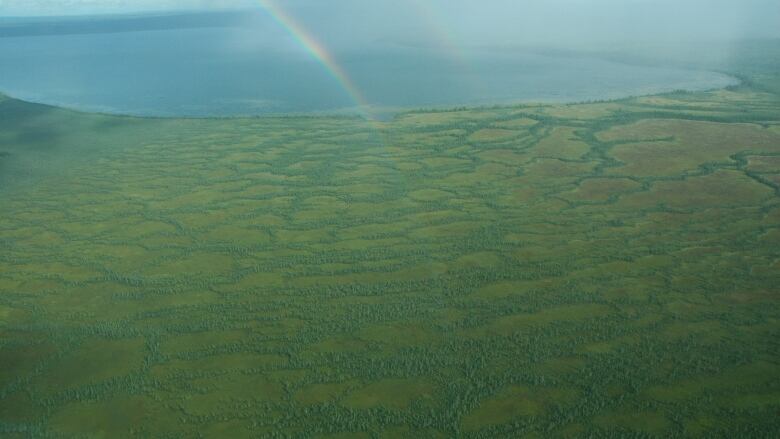 An aerial view of the peatland and lake. 