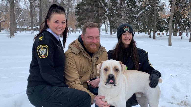 A blonde-coloured Mastiff dog sticks his tongue out while three people kneel behind him.