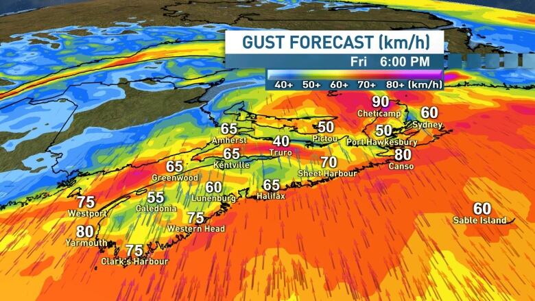 Winds will gust 60 to 80 km/h on Friday and Friday night, leading to a risk of power outages.