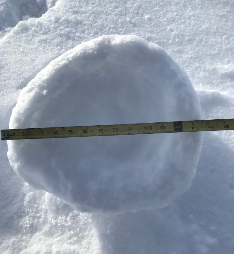 Snow rollers can be quite large in size, like this one spotted by Rose Kendall near Macrorie, Sask earlier this month.