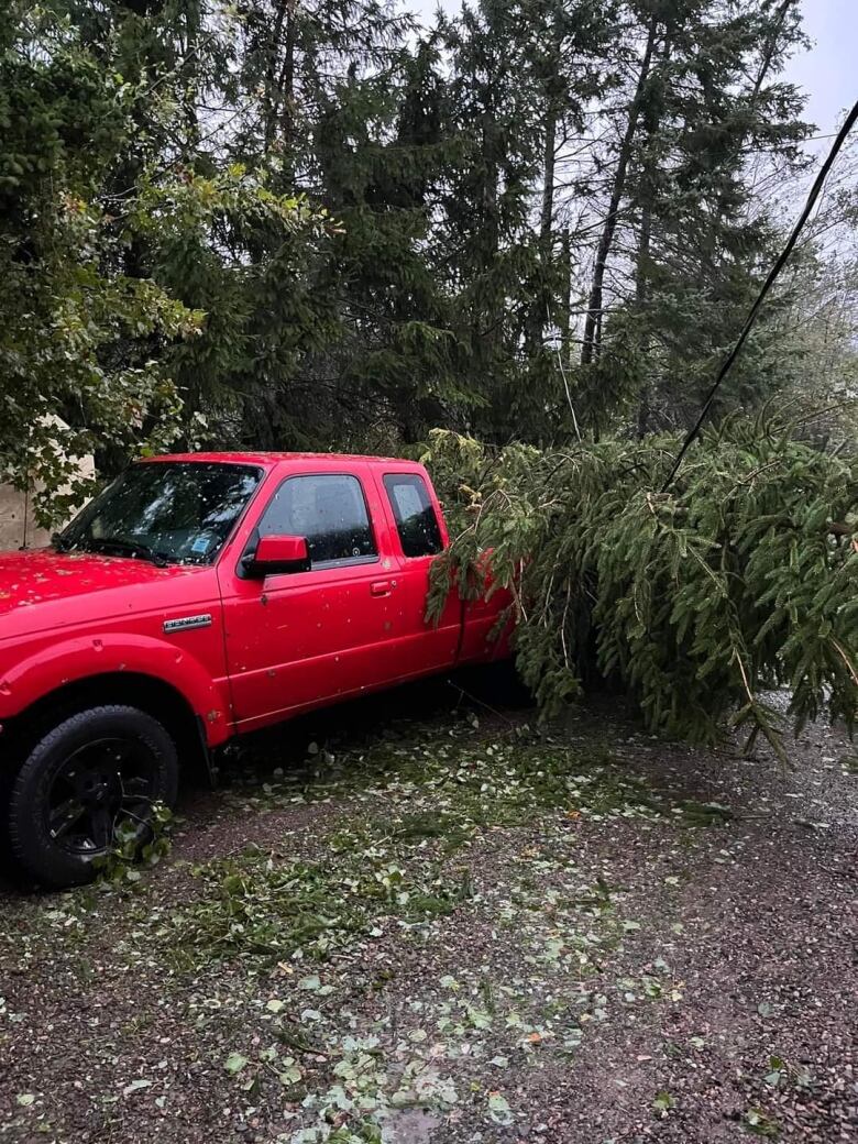 A tree falls on a truck in a driveway. 