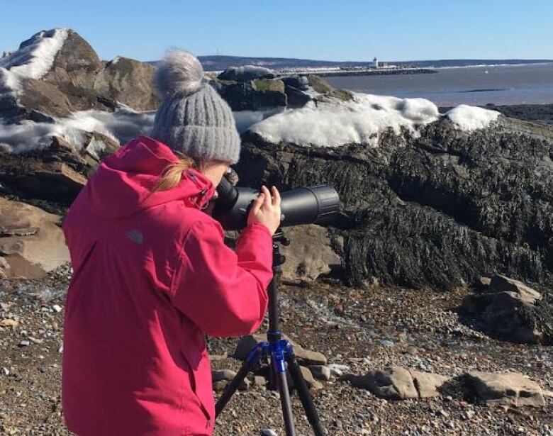 A woman with blonde hair in a pink coat and a grey toque looks into a spotting scope pointed out onto the ocean while standing on a beach covered in snow and seaweed.